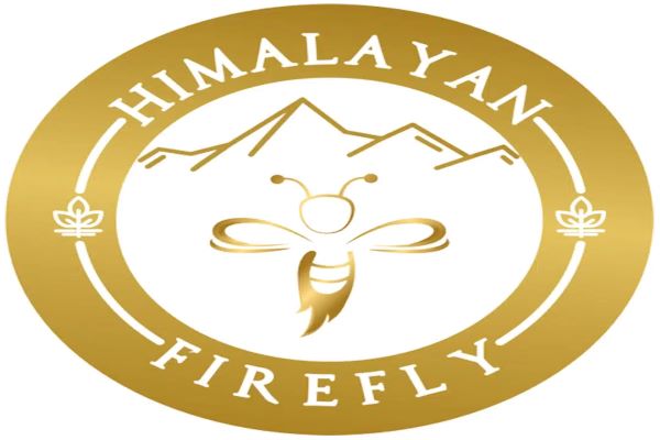 Himalayan Firefly